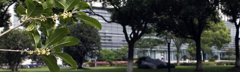 如某条暂不可用